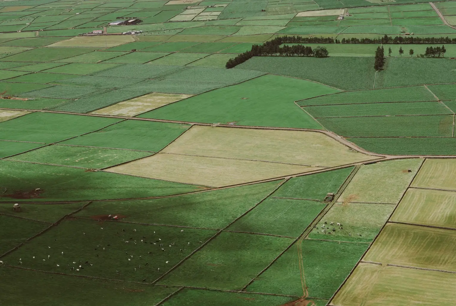 Land Law & Conveyance